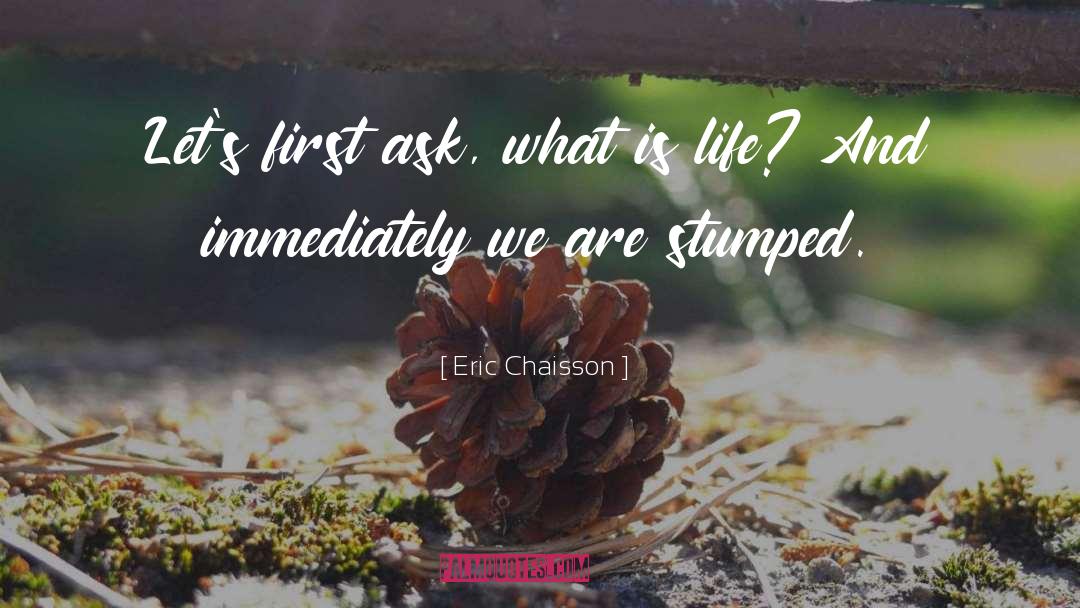 Eric Chaisson Quotes: Let's first ask, what is
