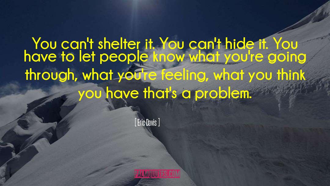 Eric Davis Quotes: You can't shelter it. You