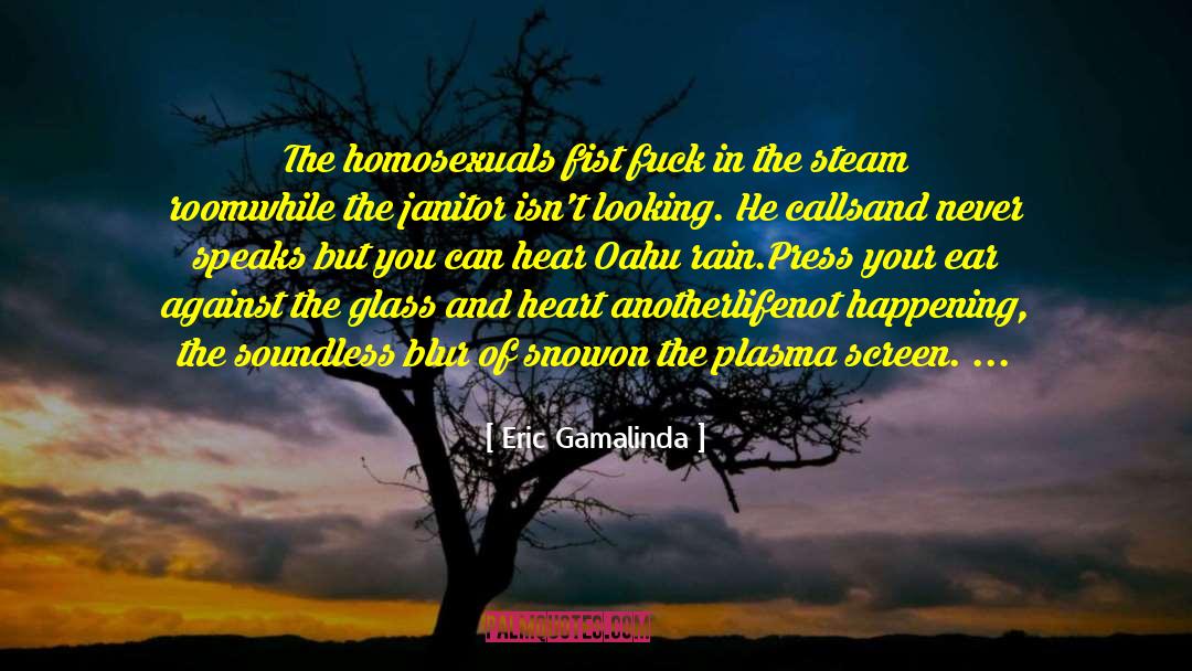 Eric Gamalinda Quotes: The homosexuals fist fuck in