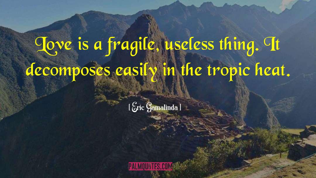 Eric Gamalinda Quotes: Love is a fragile, useless