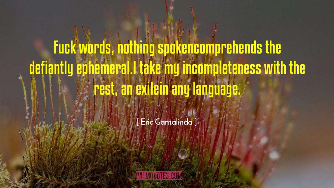 Eric Gamalinda Quotes: Fuck words, nothing spoken<br>comprehends the