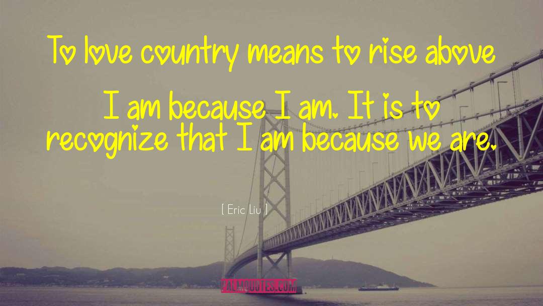Eric Liu Quotes: To love country means to