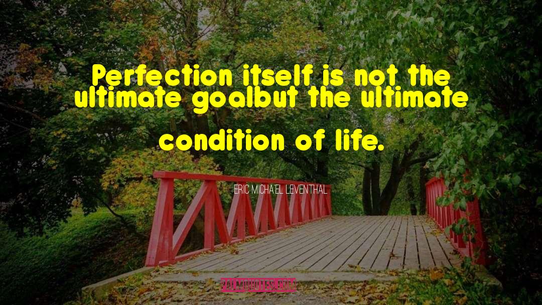 Eric Micha'el Leventhal Quotes: Perfection itself is not the