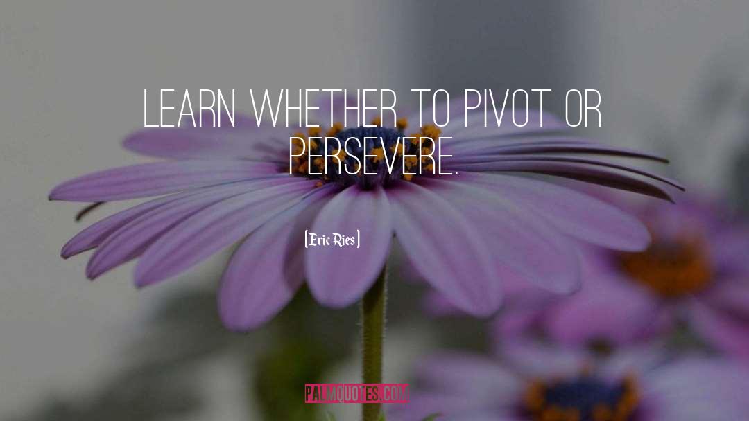 Eric Ries Quotes: learn whether to pivot or