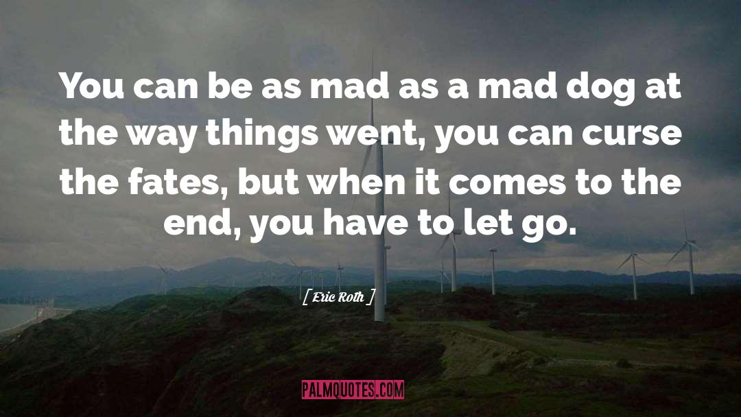Eric Roth Quotes: You can be as mad