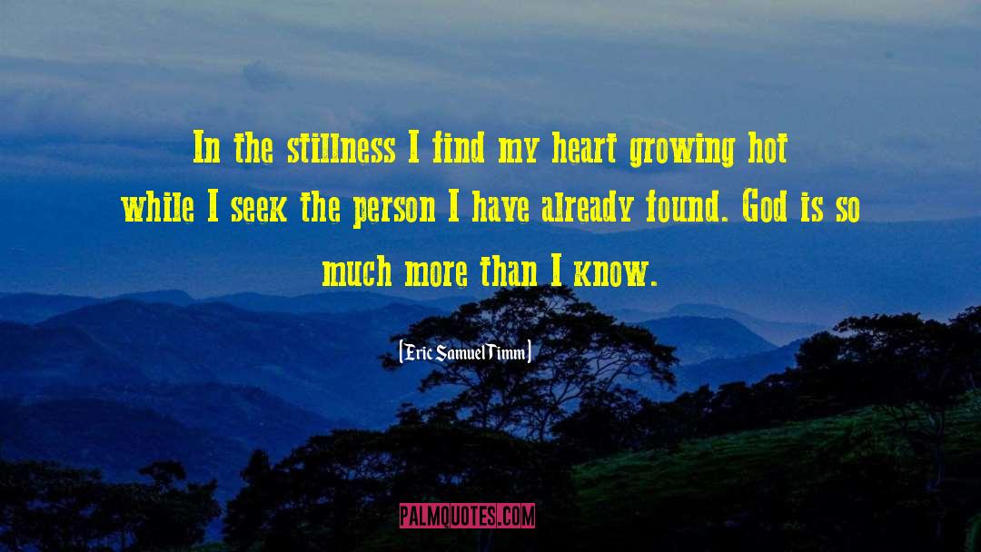 Eric Samuel Timm Quotes: In the stillness I find