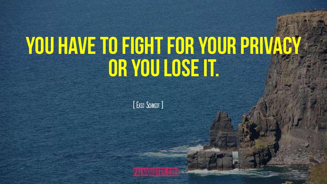 Eric Schmidt Quotes: You have to fight for