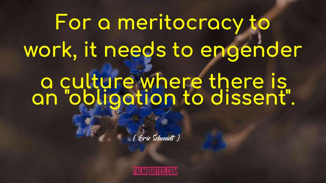 Eric Schmidt Quotes: For a meritocracy to work,