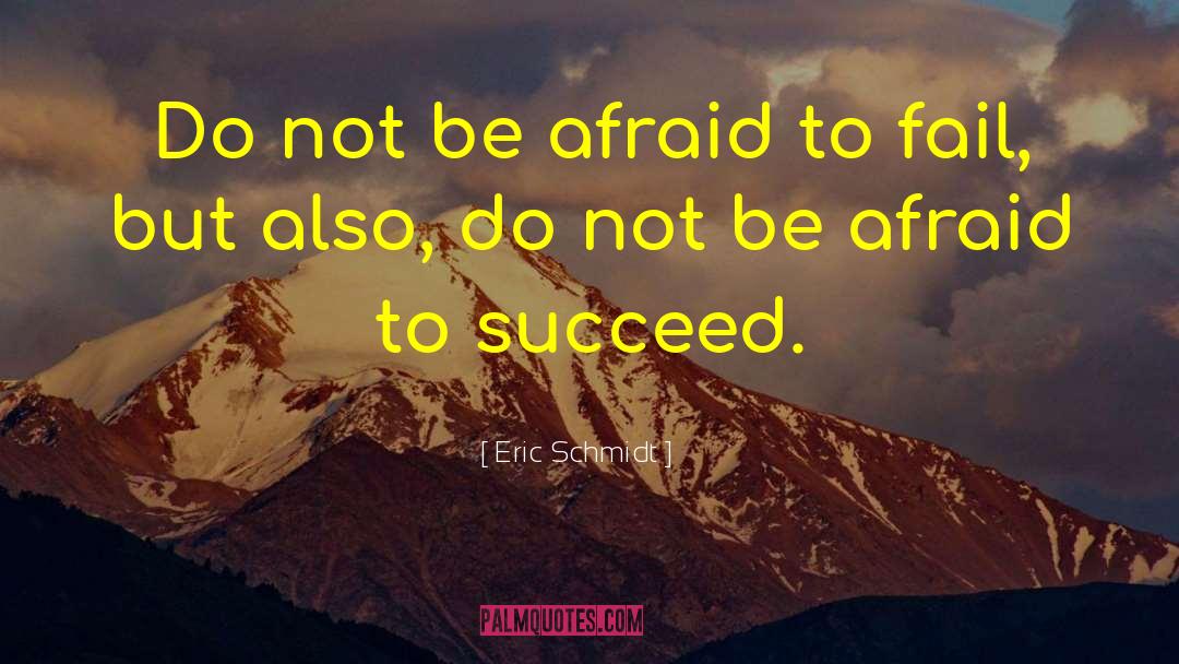 Eric Schmidt Quotes: Do not be afraid to