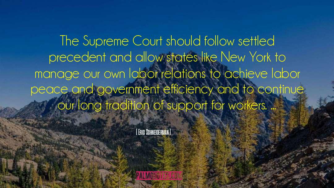 Eric Schneiderman Quotes: The Supreme Court should follow