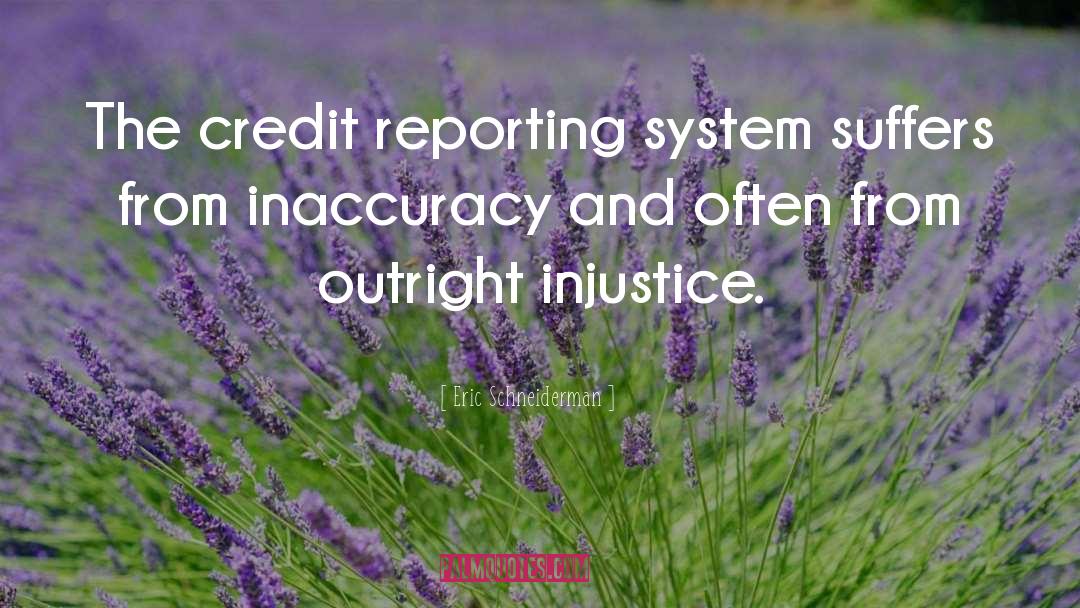 Eric Schneiderman Quotes: The credit reporting system suffers