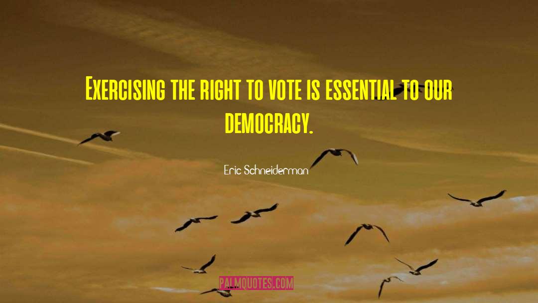 Eric Schneiderman Quotes: Exercising the right to vote