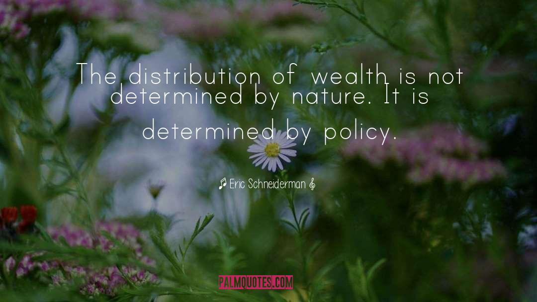 Eric Schneiderman Quotes: The distribution of wealth is