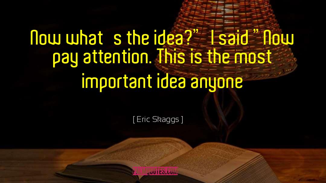 Eric Skaggs Quotes: Now what's the idea?