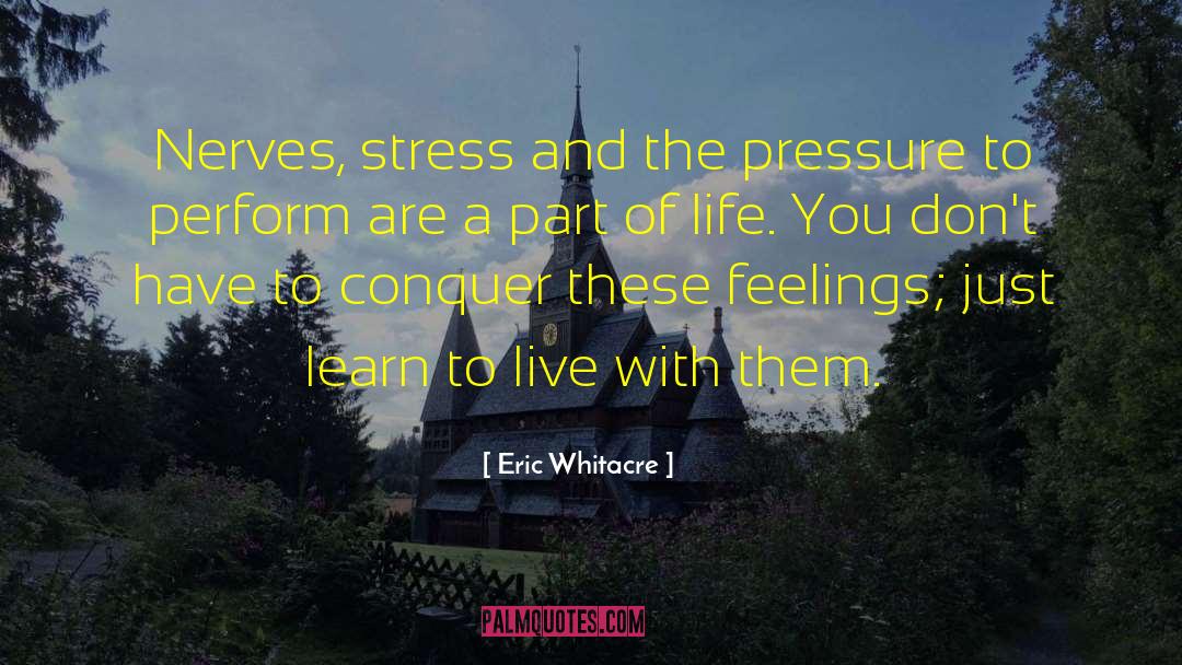 Eric Whitacre Quotes: Nerves, stress and the pressure