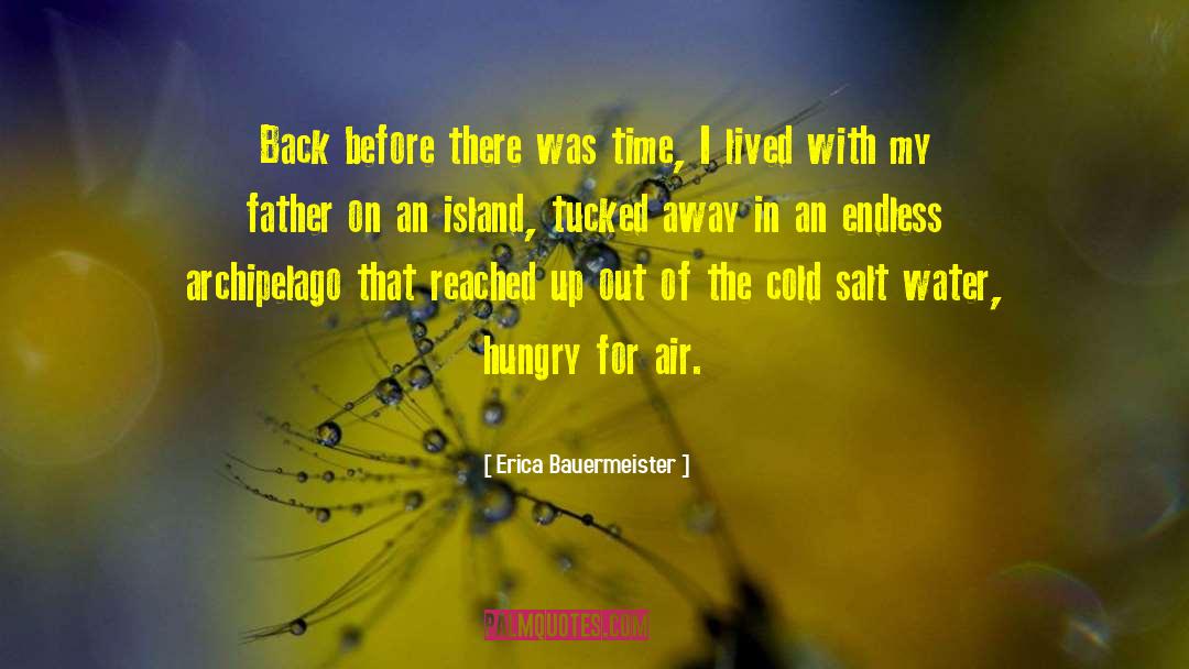 Erica Bauermeister Quotes: Back before there was time,