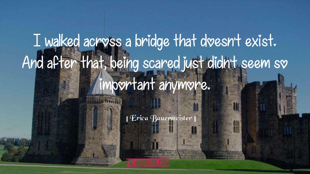 Erica Bauermeister Quotes: I walked across a bridge