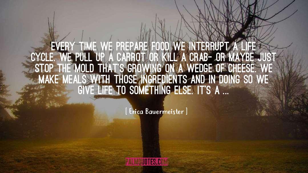 Erica Bauermeister Quotes: Every time we prepare food