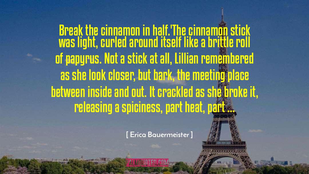Erica Bauermeister Quotes: Break the cinnamon in half.'<br