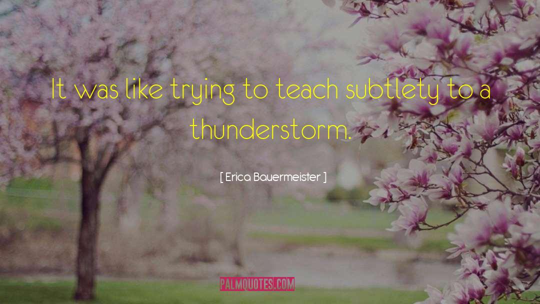 Erica Bauermeister Quotes: It was like trying to