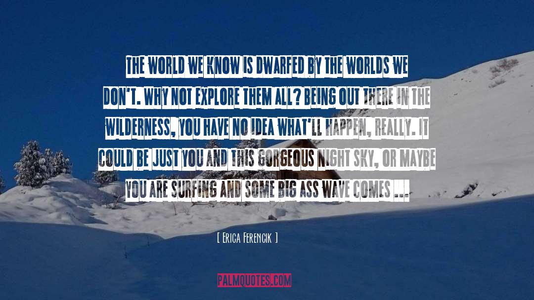 Erica Ferencik Quotes: The world we know is
