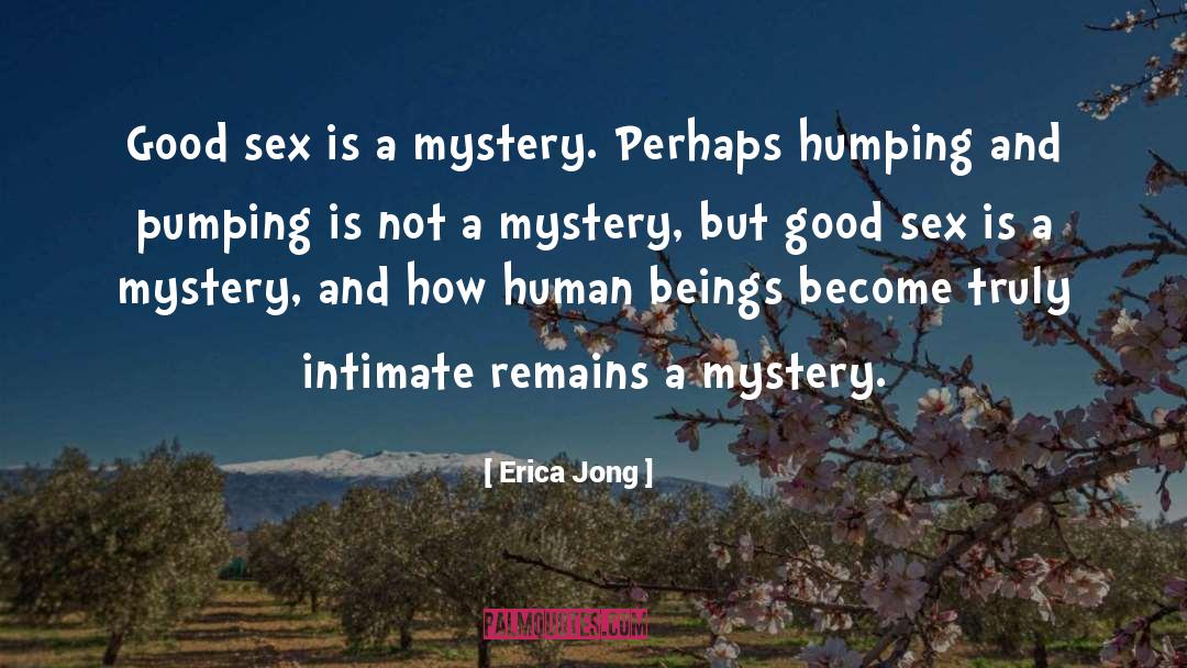 Erica Jong Quotes: Good sex is a mystery.