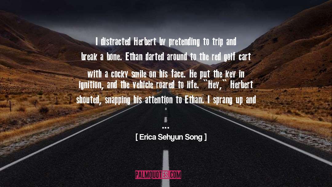 Erica Sehyun Song Quotes: I distracted Herbert by pretending
