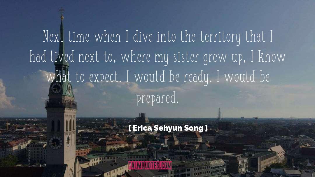 Erica Sehyun Song Quotes: Next time when I dive