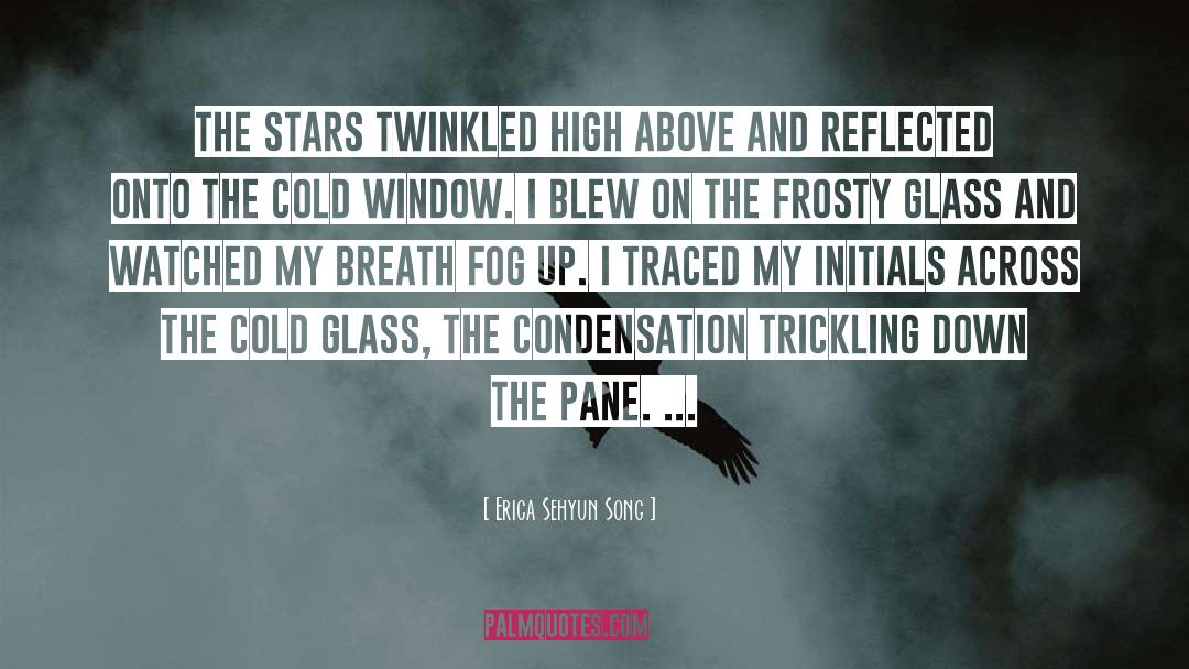 Erica Sehyun Song Quotes: The stars twinkled high above