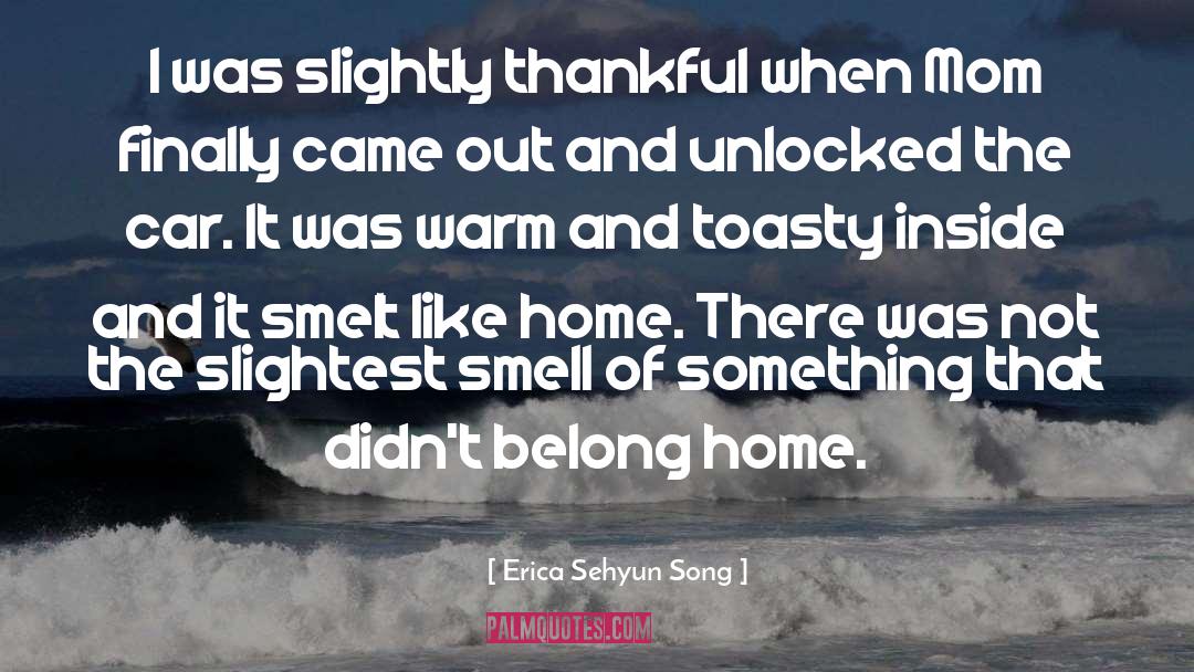 Erica Sehyun Song Quotes: I was slightly thankful when