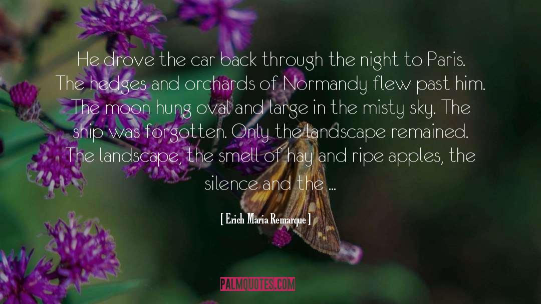 Erich Maria Remarque Quotes: He drove the car back