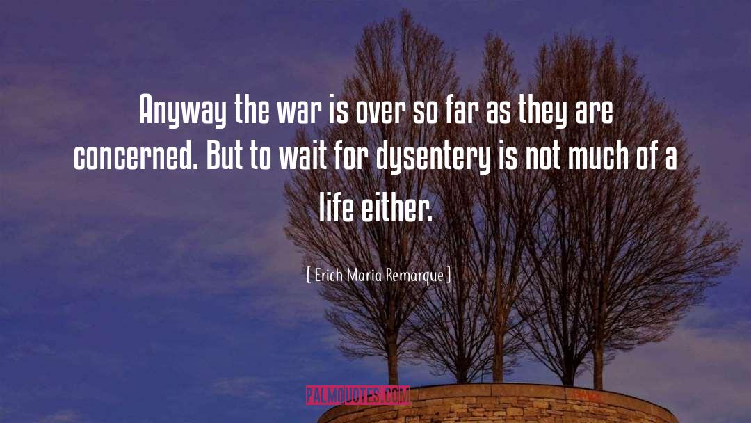 Erich Maria Remarque Quotes: Anyway the war is over