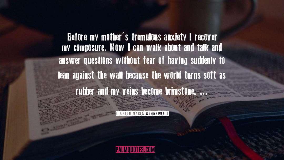 Erich Maria Remarque Quotes: Before my mother's tremulous anxiety