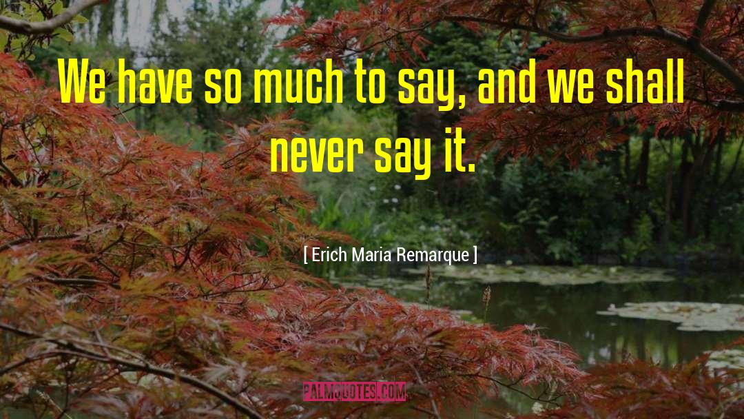 Erich Maria Remarque Quotes: We have so much to