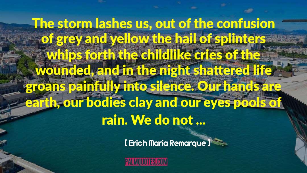 Erich Maria Remarque Quotes: The storm lashes us, out