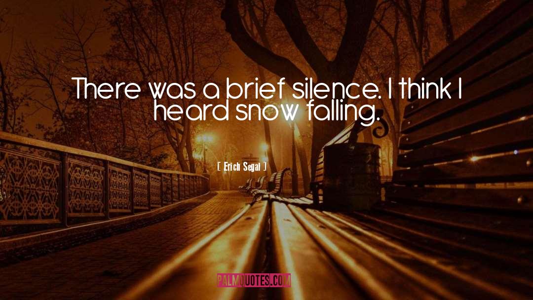 Erich Segal Quotes: There was a brief silence.