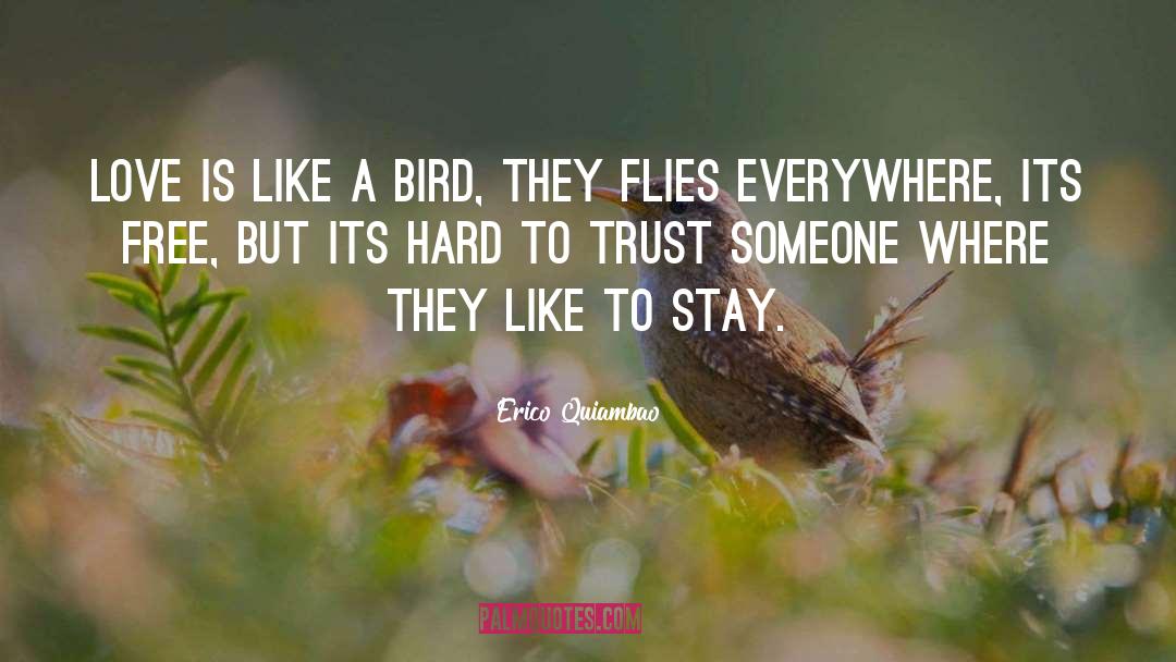 Erico Quiambao Quotes: Love is like a bird,