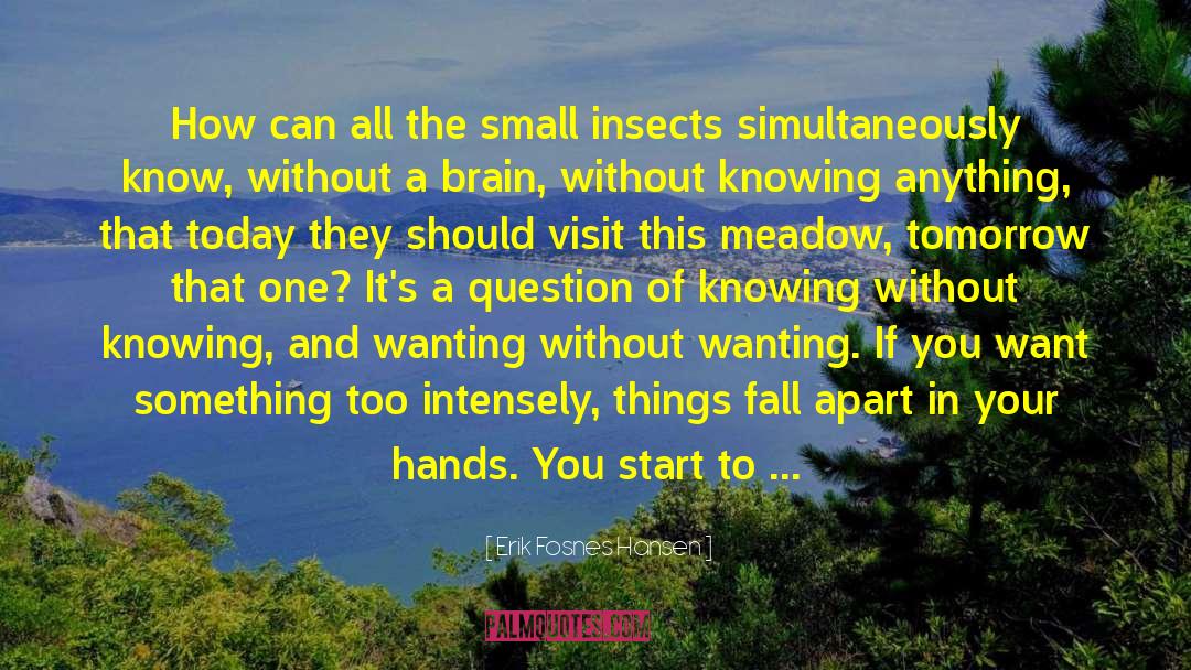 Erik Fosnes Hansen Quotes: How can all the small