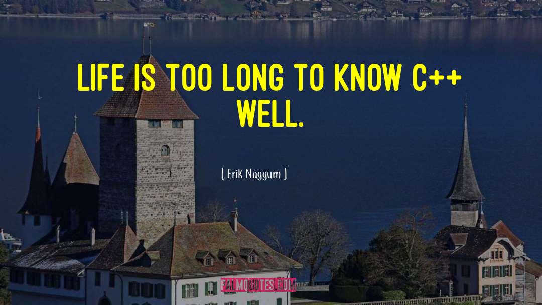 Erik Naggum Quotes: Life is too long to