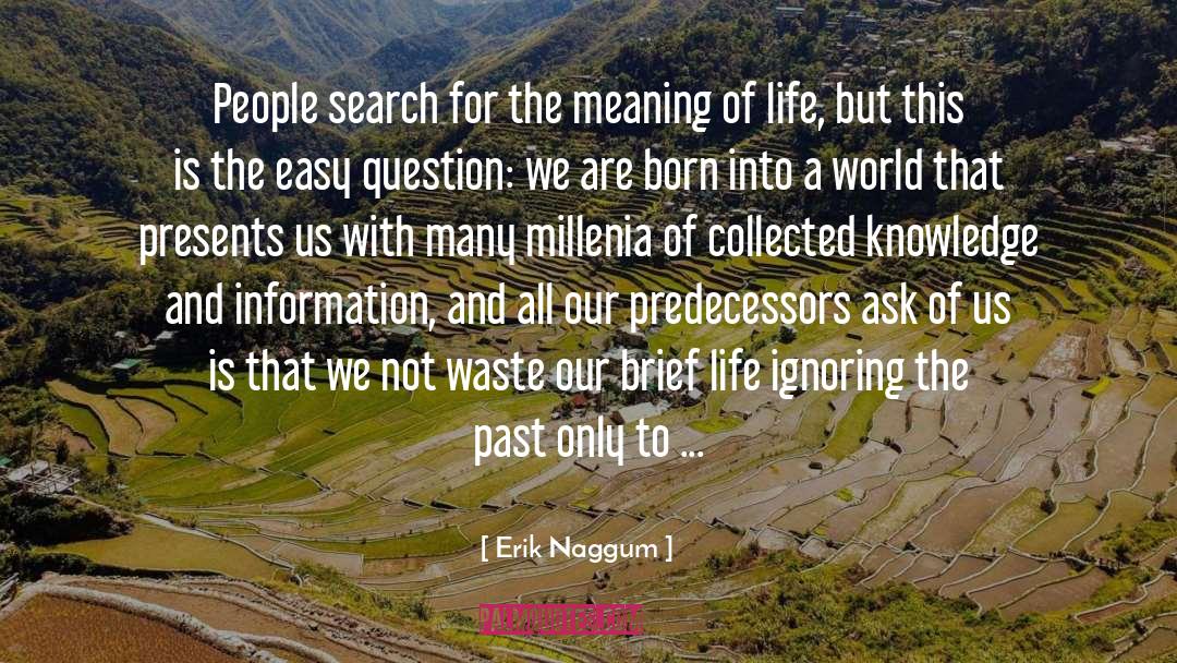 Erik Naggum Quotes: People search for the meaning
