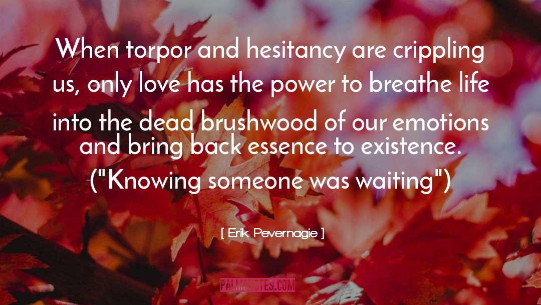 Erik Pevernagie Quotes: When torpor and hesitancy are