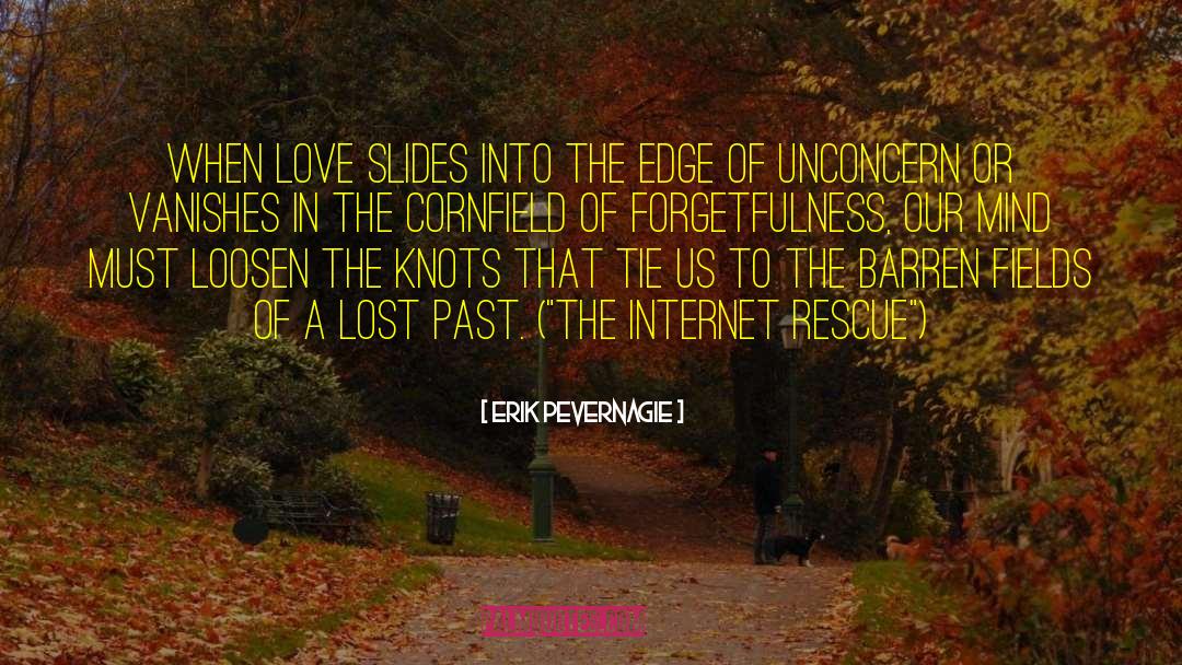 Erik Pevernagie Quotes: When love slides into the