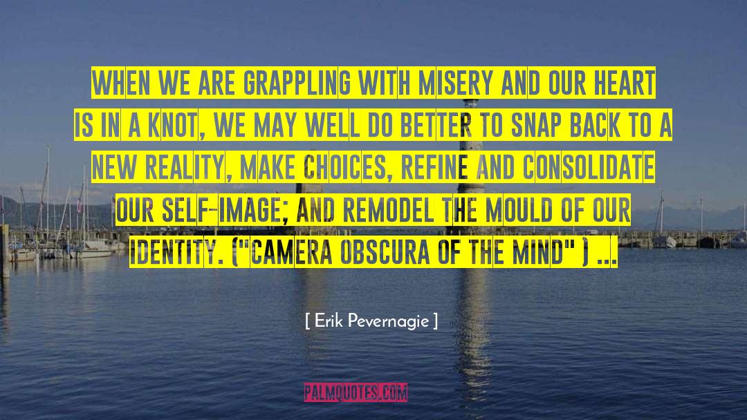 Erik Pevernagie Quotes: When we are grappling with