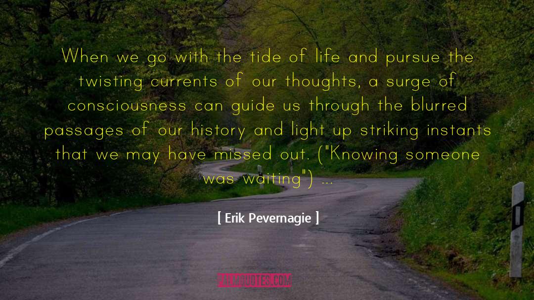 Erik Pevernagie Quotes: When we go with the