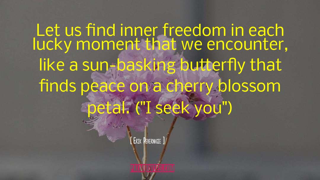 Erik Pevernagie Quotes: Let us find inner freedom