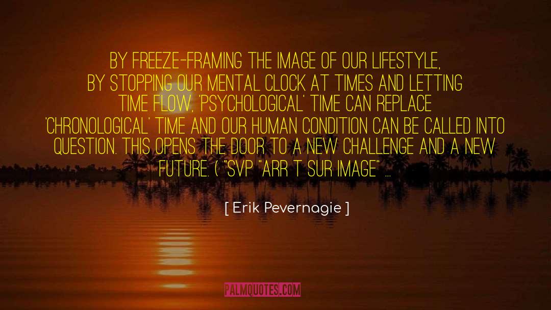 Erik Pevernagie Quotes: By freeze-framing the image of