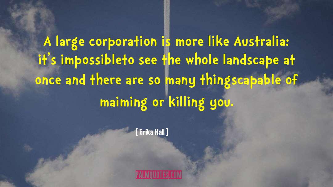 Erika Hall Quotes: A large corporation is more