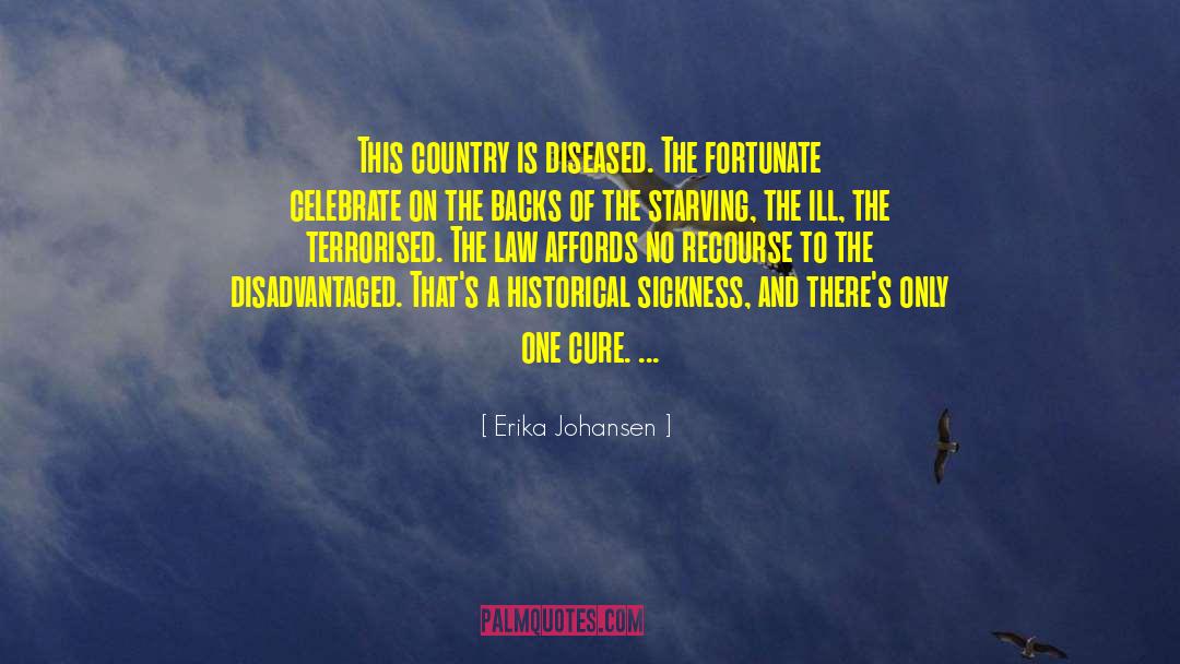 Erika Johansen Quotes: This country is diseased. The