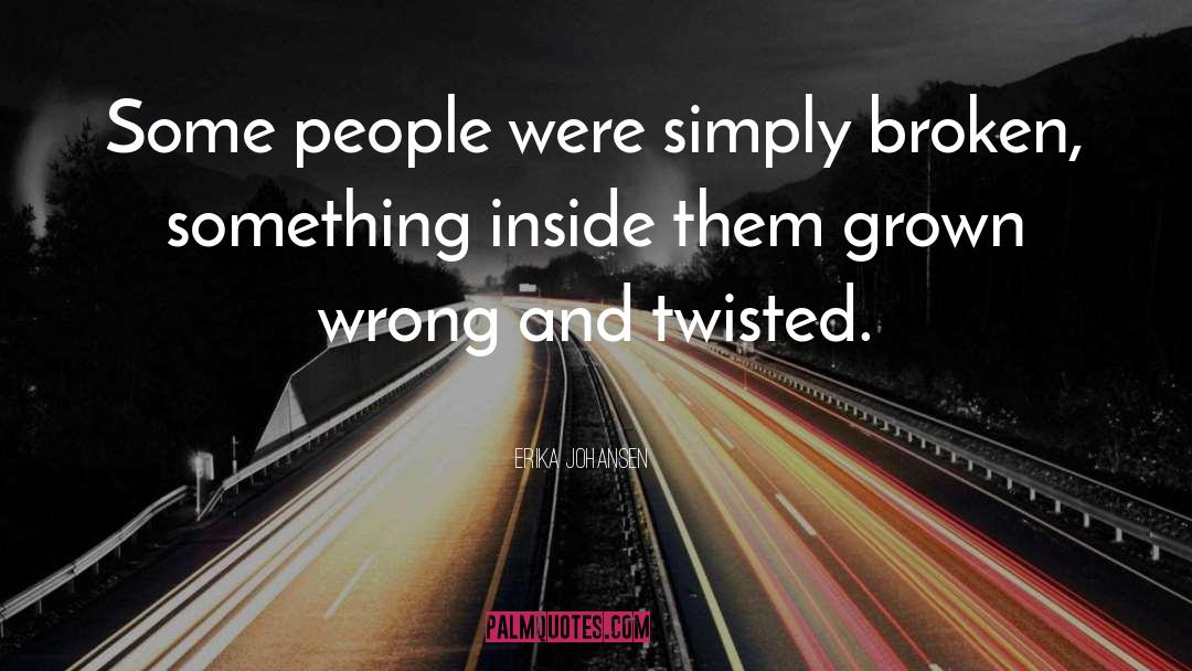 Erika Johansen Quotes: Some people were simply broken,