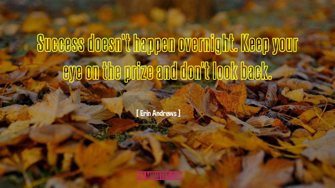Erin Andrews Quotes: Success doesn't happen overnight. Keep